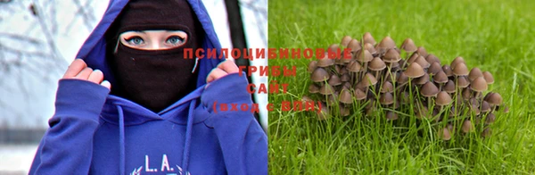 амф Надым