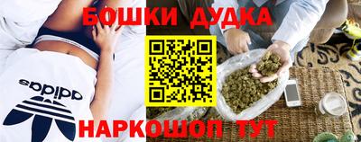 индика Балаково