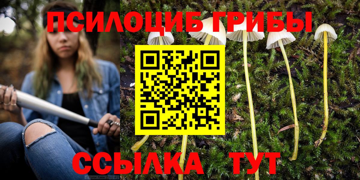 Псилоцибиновые грибы Magic Shrooms  Галлюциногенные грибы Psilocybine cubensis  Вход с VPN  Благодарный 