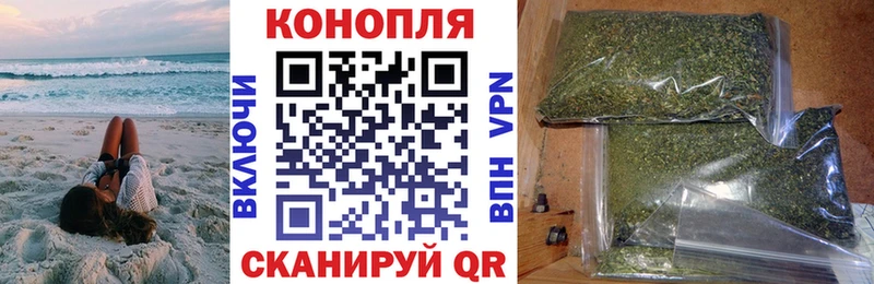 где купить   блэк спрут маркетплейс  Конопля конопля  Благодарный 